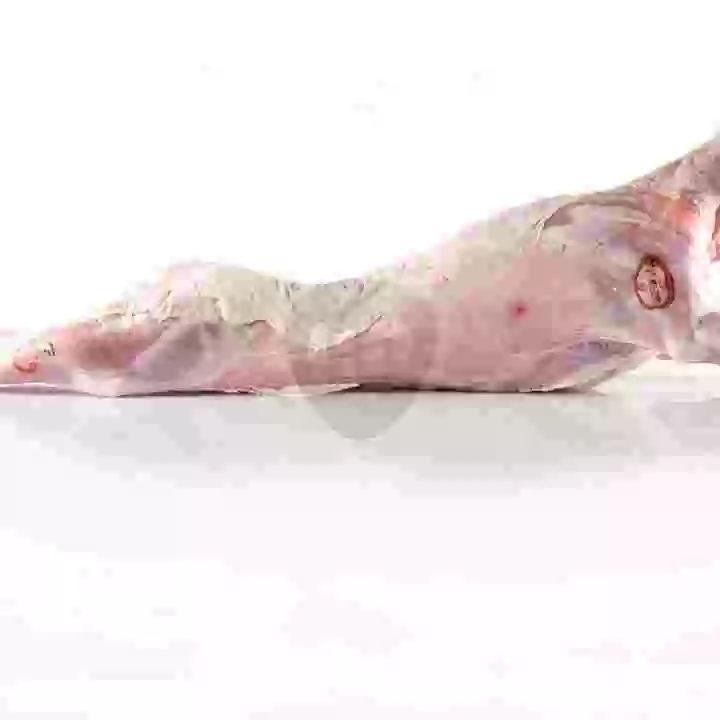 Milk fed lamb carcass