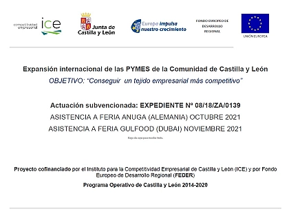 2021 - Expansión internacional de las PYMES de la Comunidad de Castilla y León