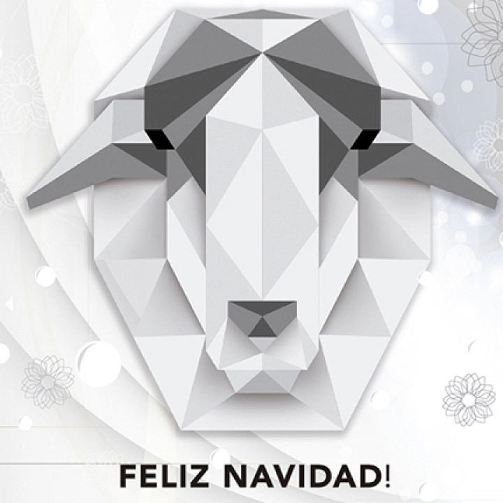 ¡Feliz Navidad!