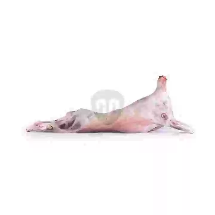 Lamb carcass