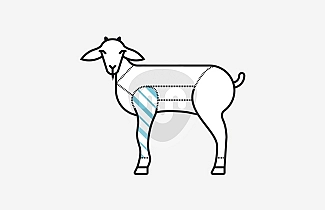 Milk fed goat shoulder