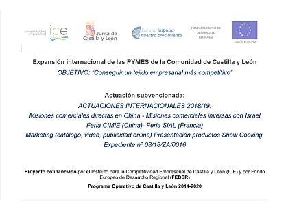 2019 - Expansión internacional de las PYMES de la Comunidad de Castilla y León