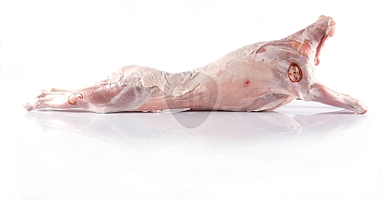 Milk fed lamb carcass