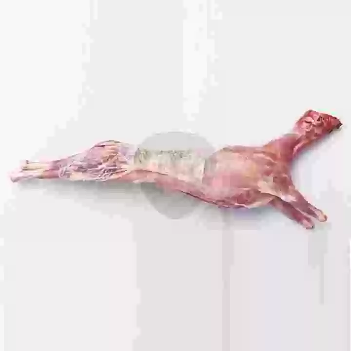 Milk fed goat carcass